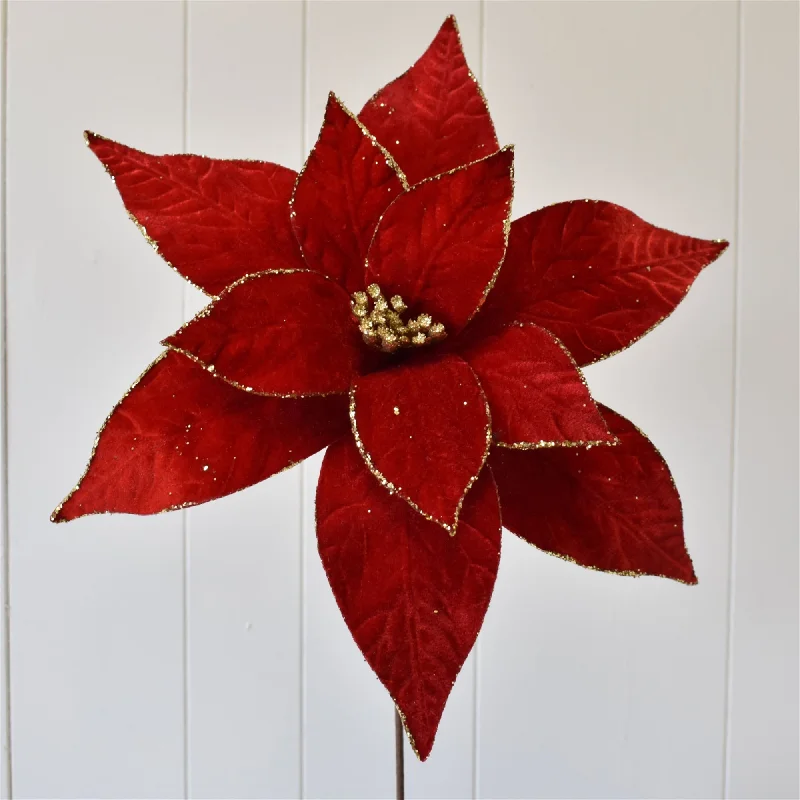 Jumbo Velvet Poinsettia w/ Gold Glitter Edge 19" x 17"D in Red/Gold | QDC22