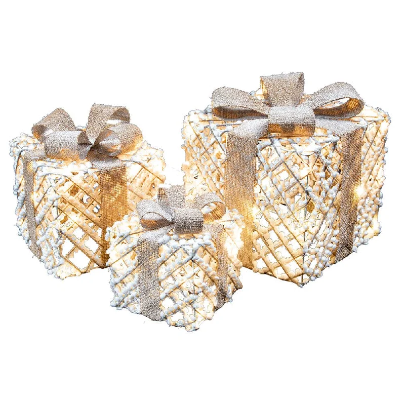 LED Natural String Present Set Asst (3pc)