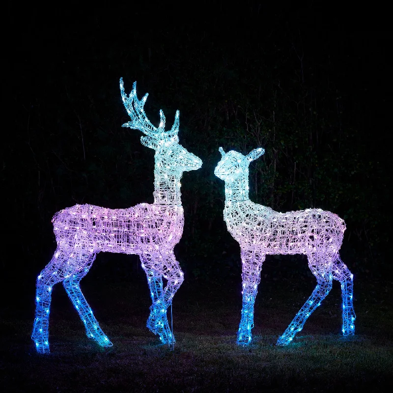 Twinkly Stag and Doe