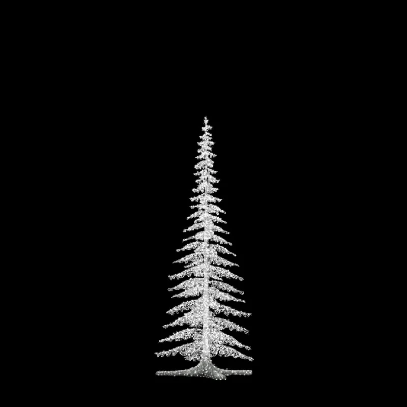 Fir Tree