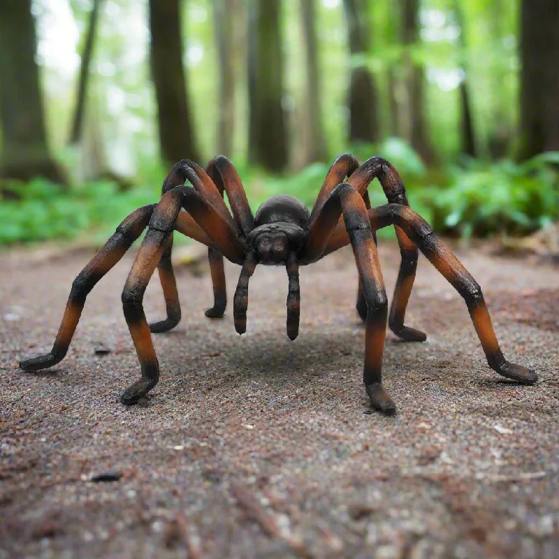 Recluse Spider