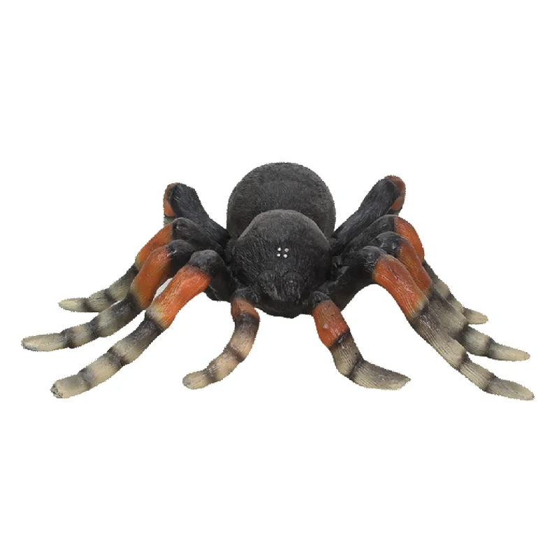 Tarantula